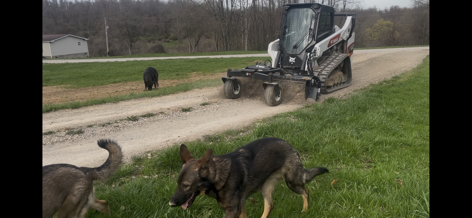 DC Gravel Bobcat soil-conditioning a gravel driveway, with the attachment working and dogs in the foreground.